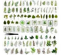 ZFKXGS 210 Pezzi Pegatinas Aesthetic Stickers Plantas Verdes Vintage Scrapbooking Materiales Transparente PET Pegatina de Decoración para Bullet Journal Diario Creación de Tarjetas Manualidades Album