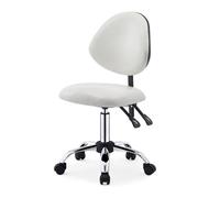 ZFUCMAYL Taburete con Respaldo, Silla Giratoria De 360°, Taburete Ergonómico Elevable, Capacidad De Carga De 150 Kg, For Casa, Oficina, Salón De Belleza Y Tienda.(Color 2)