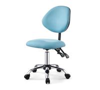ZFUCMAYL Taburete con Respaldo, Silla Giratoria De 360°, Taburete Ergonómico Elevable, Capacidad De Carga De 150 Kg, For Casa, Oficina, Salón De Belleza Y Tienda.(Color 1)