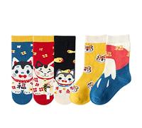 Zgehnao - Calcetines de Navidad para niños, 5 pares de calcetines de Navidad de dibujos animados de Papá Noel, muñeco de nieve para niños