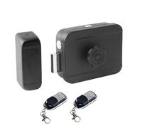 Zgehnao Cerradura Electrónica Inteligente Invisible de Puerta de Seguridad con Control Remoto, Negro