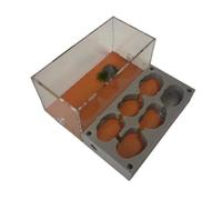 ZGHQHCDRH Granja de Hormigas, Granja de Hormigas, Nido, Castillo, Granja Transparente, hábitat for y Reinas, Kit Aprendizaje for, casa