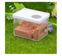 ZGHQHCDRH Granja de Hormigas, Nido de Hormigas Yeso, Nido Cuadrado, Hormiguero for Mascotas, Caja for Insectos, Taller hormigueros, Utilizado for la educación sobre Ciencia Las, casa