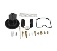 ZGHQHCDRH Kit de carburador Carburador para Motor Kit de reparación y reconstrucción de carburador para ATV de 250 CC, ATV 250, EN250, GP200, GP250, MV30, Accesorios para Motocicletas.