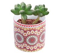 ZGHQHCDRH Maceta, Maceta de cerámica for Flores, 4 Uds., bonsái, macetero for jardín, Mini Maceta for Plantas y Cactus, florero con Mandala(Red)