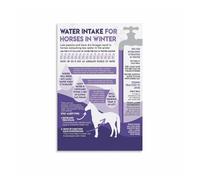 ZGPOSQKZSC Equine Winter Health Poster, Managing Horse Water Intake During Cold Months Educational Barn Office Art(Framed,12x18inch(30x45cm))