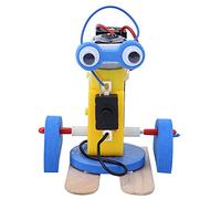 Zhangpu Biped Robot Kit de Ciencia Educativa para Niños de 4 Años o Más, Juego de Juguetes de Producción Pequeña para Desarrollo Cognitivo, Juguete de Aprendizaje de Tecnología para Niños para