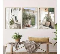 ZHAOLIN Juego de 3 pósteres de lienzo con diseño de olivo verde bohemio moderno, con orientación vertical mediterránea para decoración de interiores de sala de estar (20 x 35 cm, sin marco).