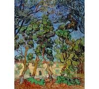 ZHAOSHAN Famoso Cartel del Lienzo Abstracto Cuadro Alberi nel giardino dell'ospedale St Paul di Vincent Van Gogh para la Decoración del Hogar de la Oficina 60x90cm