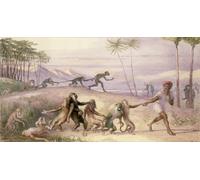 ZHAOSHAN Famoso Cuadro Pared Vintage Clásicas Poster i modi delle scimmie di Richard Doyle para Decoración de dormitorio 60x90cm