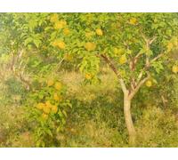 ZHAOSHAN Famoso Cuadro Pared Vintage Clásicas Poster l'albero dei limoni di Henrytuke para la Decoración del Hogar de la Oficina 60x90cm