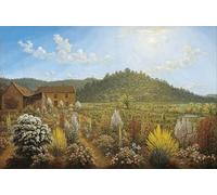 ZHAOSHAN Famoso Cuadro Pared Vintage Clásicas Poster una veduta della casa e del giardino nella terra di Mills Plains Van Diemen Glover para Decoración de dormitorio 60x90cm