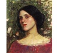 ZHAOSHAN Pinturas Famosas Pintura Imagen Pintura Lienzo Mural il pergolato di rose di John William Waterhouse para Decoración de Paredes 60x90cm