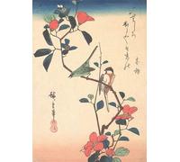 ZHAOSHAN Pinturas Famosas Pintura Imagen Pintura Lienzo Mural Occhio bianco giapponese e cincia su un ramo di camelia Hiroshige para Decoración de dormitorio 60x90cm