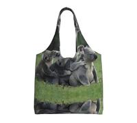 ZHAOUR Bolsas de lona con estampado de tigre en la selva, bolsas grandes reutilizables para comestibles, bolsa de mano para mudanzas, compras, viajes y uso diario, Lindo oso koala1, Talla única