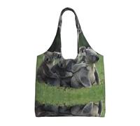 ZHAOUR Bolsas de lona con estampado de tigre en la selva, bolsas grandes reutilizables para comestibles, bolsa de mano para mudanzas, compras, viajes y uso diario, Lindo oso koala 2, Talla única