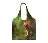 ZHAOUR Bolsas de lona con estampado interestelar de Universo con estrellas y galaxia, bolsas grandes reutilizables para comestibles, bolsa de mano para mudanzas, compras, viajes y uso diario, ardilla