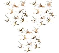 Zhdbchyuu Mini Driftwood para Acuario Ramas de Madera Natural Decoraciones para Peceras Reptiles de árbol Driftwood Surtido (Paquete de 30)