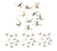 Zhdbchyuu Mini Driftwood para Acuario Ramas de Madera Natural Decoraciones para Peceras Reptiles de árbol Driftwood Surtido (Paquete de 40)