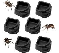 Zheigaoxea Paquete de 6 cuencos de agua de araña, mini plato de resina para tarántula, araña, milpiés y pequeños reptiles, plato de alimento/agua para accesorios de recinto (1.65 pulgadas de