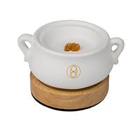 ZhengLong Quemador de Incienso Eléctrico, Quemadores de Incienso/Resina/Bakhoor, Quemador de Incienso de Carbón Versión Actualizada, 50-320 °C, Temporización 1-5 Horas. (Blanco)