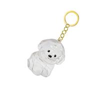 ZHENNB Llavero conmemorativo de pelo de mascota transparente para perros, recuerdos, joyería, soporte para pieles de perro, propietario emocional, colgante sentimental para el pelo