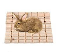 ZHER-LU Garras de conejo Rascador Tablero Mascotas de Madera Hámster Ardilla Jugar Juguete Rascar Jaula Herramienta Molienda Cubierta de Adorno Suministros Conejo Madera Molienda Cubierta