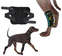 ZHHSUNY 1 par de rodilleras para perro, férula de pierna universal, para extremidades, para la cicatrización de heridas, los esguinces y la artritis en la casa, prevenir lesiones secundarias (M)