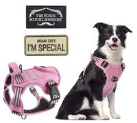 ZHHSUNY Anti Tracción Arnés Táctico para Perro, Arnés Perro Transpirable Ajustable con Mango 2 Anillos Metal, con Bolsillos&parches bordados, Materiales Oxford Militar Reflectantes (Rosa, L)