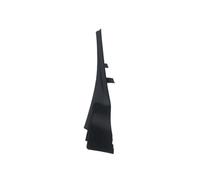 ZHINUAN Cubierta limpiaparabrisas, Compatible for NISSAN, MURANO 2015-2017 66894-5BC0A 66895-5BC0A Tapa del borde lateral del limpiaparabrisas del ve(Right side)