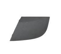 ZHINUAN Embellecedor lateral parabrisas delantero, Compatible for Mercedes-Benz Clase B W245 (2005-2011), panel deflector agua. Tapa del borde lateral del limpiaparabrisas del ve(1 PCS Left L)