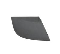 ZHINUAN Embellecedor lateral parabrisas delantero, Compatible for Mercedes-Benz Clase B W245 (2005-2011), panel deflector agua. Tapa del borde lateral del limpiaparabrisas del ve(1 PCS Right R)