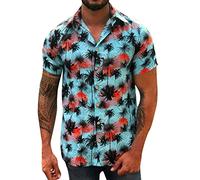 Zhiyao Camisas de hombre de manga corta y manga larga, corte ajustado, camiseta de vacaciones, verano, camisas de hombre, camisa de ocio, camisa de negocios, camiseta de regalo para hombres, azul, XXL