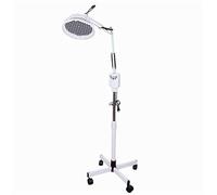 ZHJBD Hyperthermia Lamp/TDP Lámpara de Fisioterapia Electromagnética Onda de Calor Luz Mineral La Placa Proporciona acupuntura calefacción y Terapia de curación 300W Care Lamp