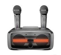 ZHJOPP Máquina de Karaoke Bluetooth, Altavoz de Karaoke portátil con 2 micrófonos inalámbricos, batería Recargable integrada de 3000 mAh y Soporte USB/TF/AUX IN (Grey)