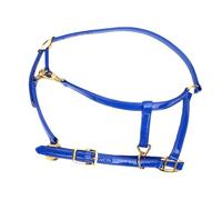 Zhjvihx Brida para Caballos, Cuero Sintético Brillante, Resistente Al Agua, Resistente a los Olores, Fácil de Limpiar, Correa de Doble Capa de 20 Mm de Ancho con Hebillas de Aleación