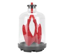 Zhjvihx Kit Educativo de Ciencia de Anatomía Respiratoria Modelo de Pulmón, Simulador de Movimiento de Diafragma con Conchas Transparentes para Enseñanza de Ciencias en el Aula y Clases