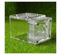 ZHL Granja Hormigas Ants Nest Nido Hormigas Acrílica Caja Hormiguero para Alimentación Hormigas Casa Insectos Villa Pet Mania House Regalo Cumpleaños (Color : A)