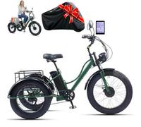 ZhouBSM Bicicleta Eléctrica De 3 Ruedas De 24 Pulgadas B