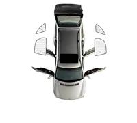 ZHQDRCY Parasol Coche Magnético Parasol Protector para Citroen para Xsara para Picasso 2000-2010 Accesorios para Coche Cortinas Divisorias Coche(Rear Windows)