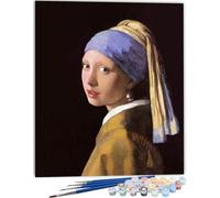 ZHXXFD Pintar Por Numeros Adultos Cuadros Famosos Johannes Vermeer,Cuadro Diy Por Numeros Chica Pintura Acrilica Para Lienzos,40X50Cm,A37