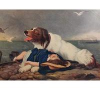 Zhyaunz DIY 5D Diamante Pintura San Bernardo y niña Pintura por número Kits Bordado Dibujo Arte de Diamantes de imitación 30x40cm