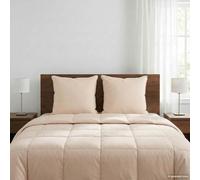 Ziaphsol Juego de 2 almohadas de fibra de kapok, color beige, 60 x 60 cm, con funda de algodón 100%, transpirable para dormir, habitaciones de invitados y comodidad anual
