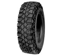 ZIARELLI 255/75 R17 121H Neumáticos Todas las estaciones Todoterreno