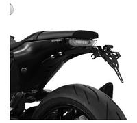 Zieger Soporte matrí. Zieger Pro con luces de matrícula y reflector