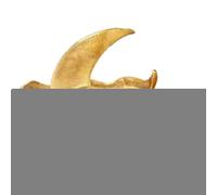 Ziennhu Pulsera De Luna Y Estrella Para Mujeres - Pulsera Rígida Estrellas y Luna - Joyería De Moda Regalo Sentimental Para Adolescentes Mujeres Familia Parejas Amigos