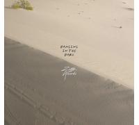 Alberts, Ziggy - Dancing In The Dark [Vinilo]