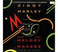 ZIGGY MARLEY - Tumblin' Down