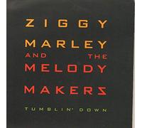 Ziggy Marley - Ziggy Marley - Tumbling Down - [7"]