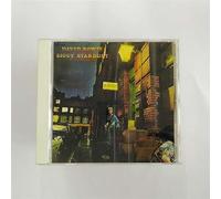 Ziggy Stardust & the Spiders..